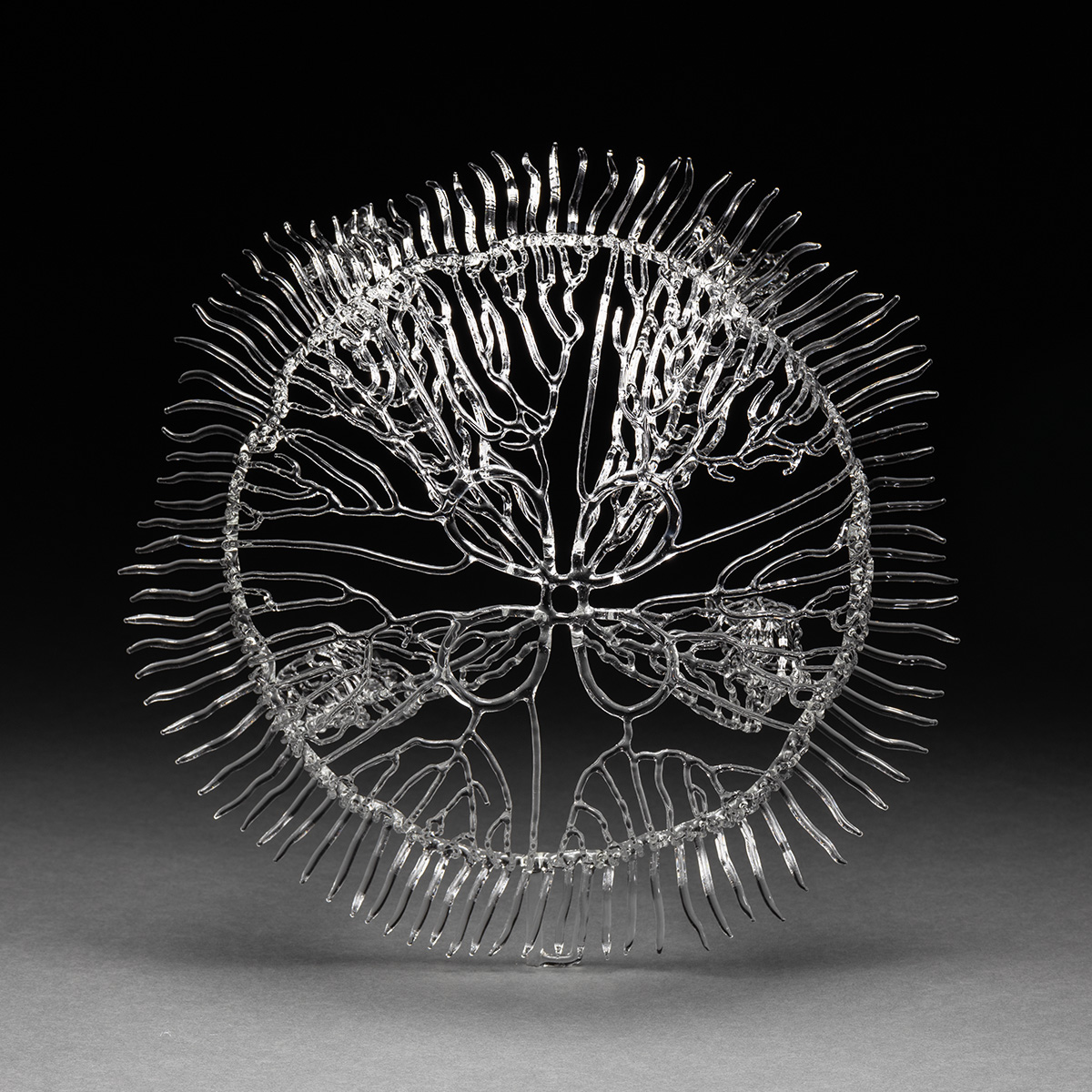 Moon Jellyfish Glass Sculpture,
Flameworked Glass